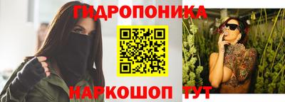 прущие крисы Мариинск
