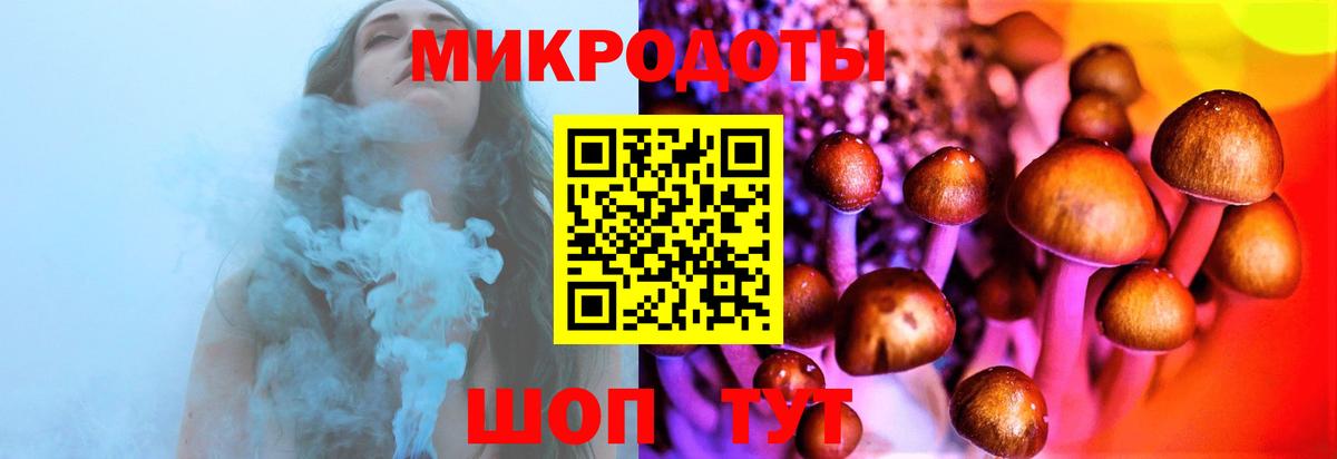Владимир  Псилоцибиновые грибы мухоморы  Вход с VPN 